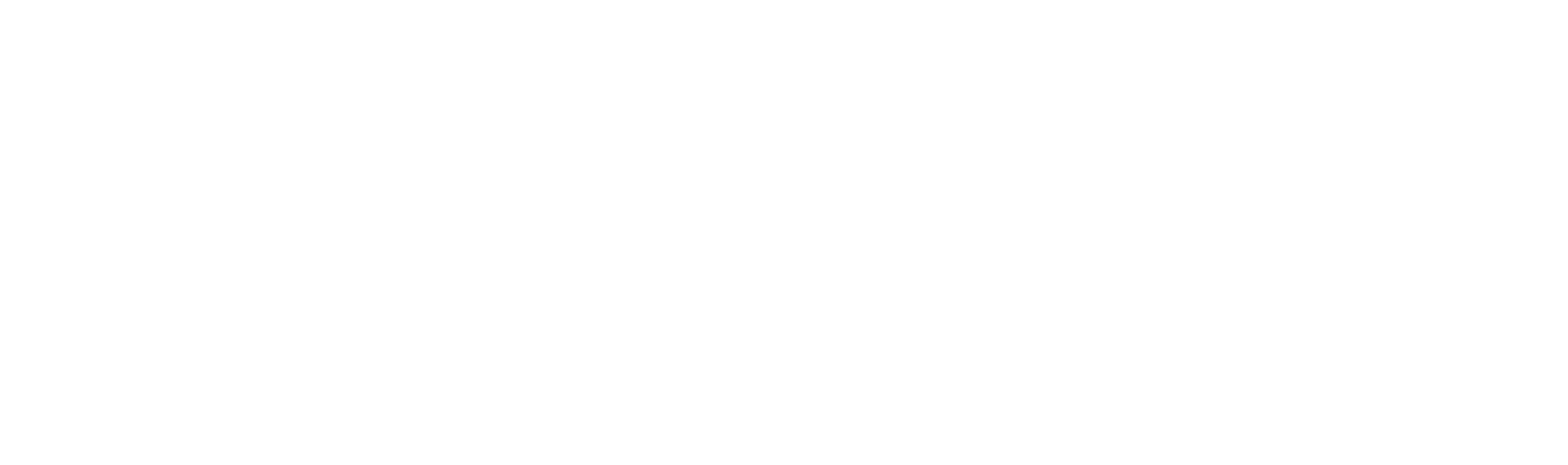 Logo Taxi Express Paris